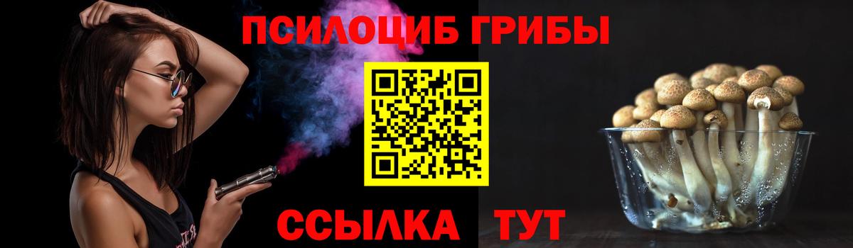 Галлюциногенные грибы прущие грибы  Вход с VPN  Соль-Илецк 