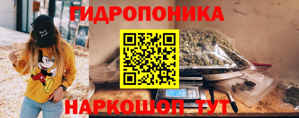 Марихуана планчик  Бошки Шишки White Widow  Шишки марихуана Ganja  Вход с VPN  Соль-Илецк  Шишки марихуана тримм 